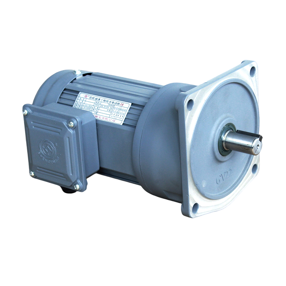 Medium-Sized GV series Vertical Installation Gear Motor